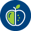 icon box image